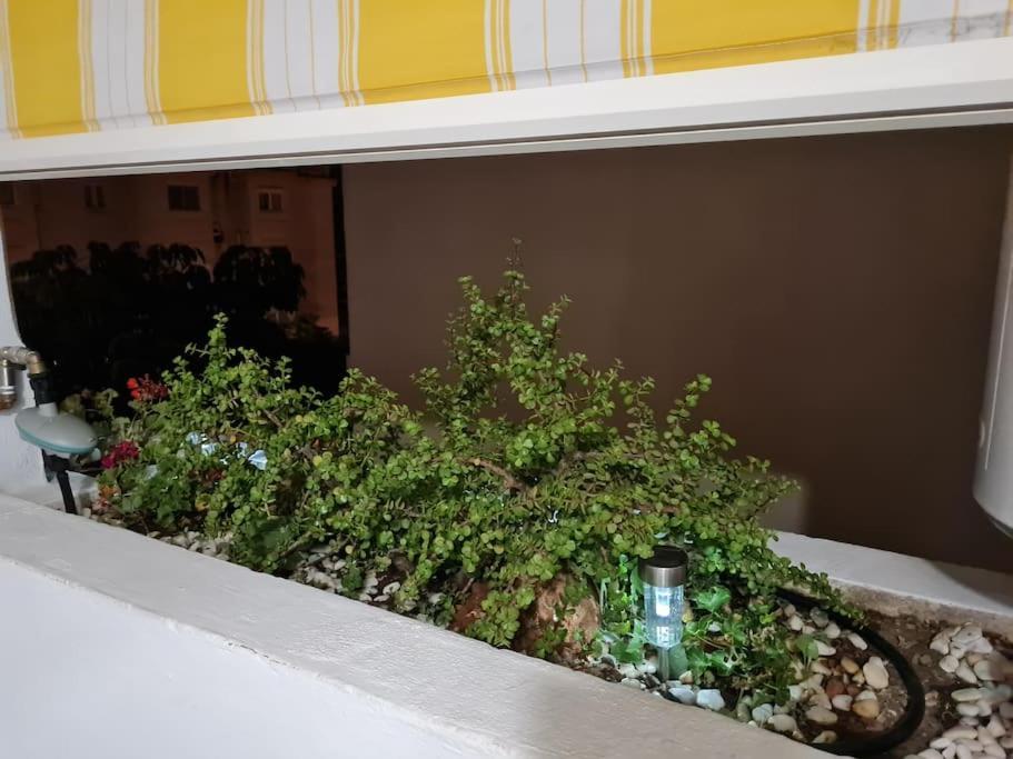 Encantador Apartamento Residencial Con Piscina Torremolinos Kültér fotó